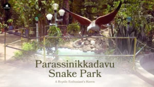 Parassinikkadavu Snake Park