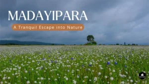 Madayipara